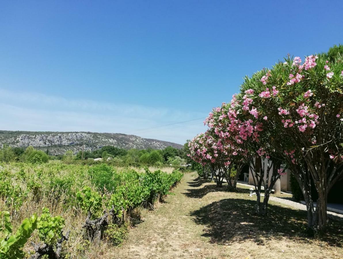 Espace Loisirs Hotell Saint-Martin-dʼArdèche Eksteriør bilde